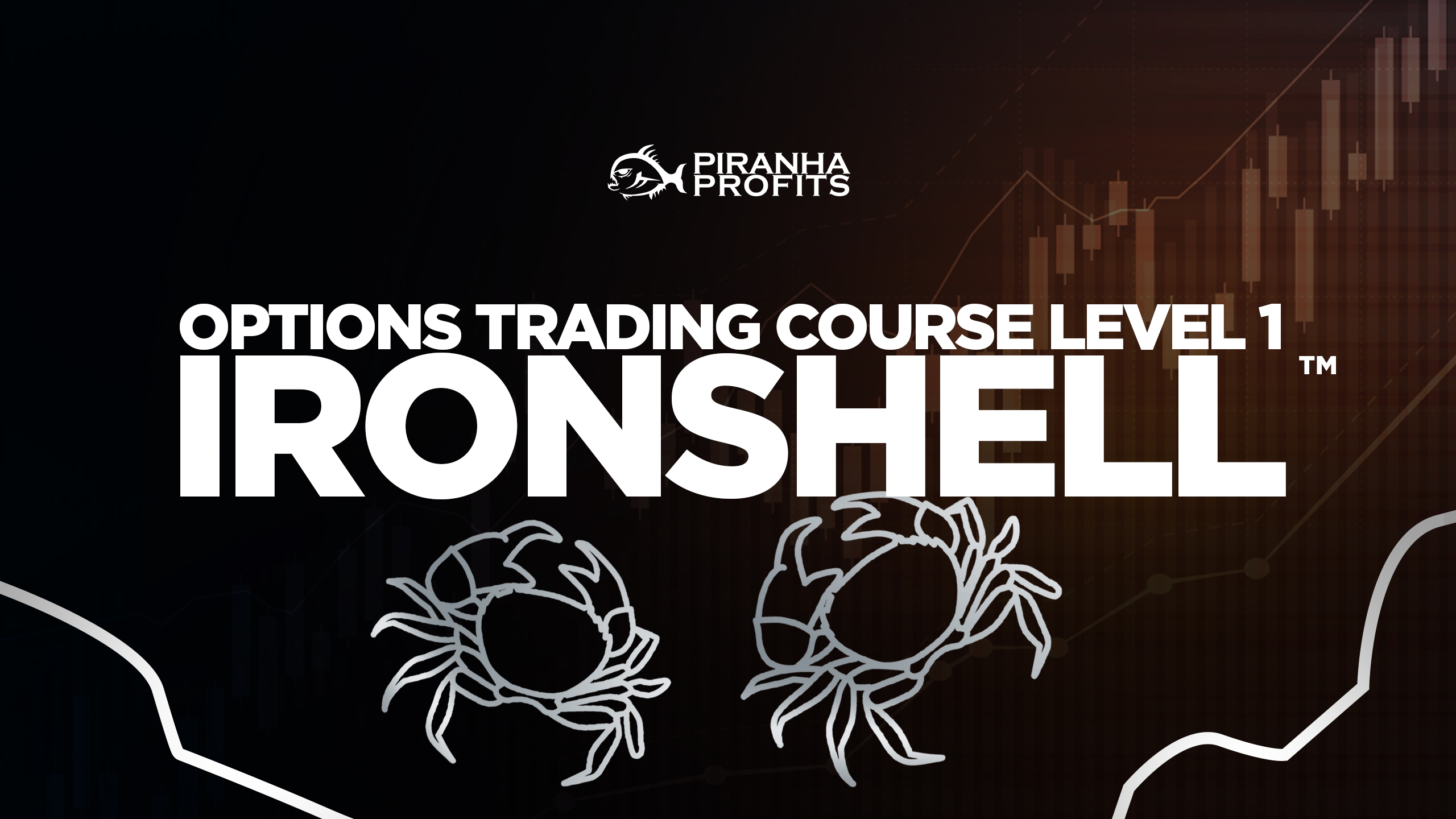 Adam Khoo – Professional Options Trading Course – Options Ironshell