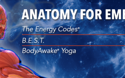 Dr. Sue Morter – Anatomy For Embodiment 2022