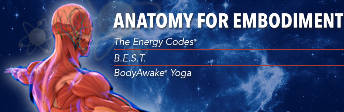 Dr. Sue Morter – Anatomy For Embodiment 2022