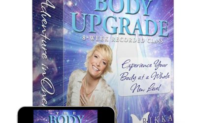 Rikka Zimmerman – The Body Upgrade