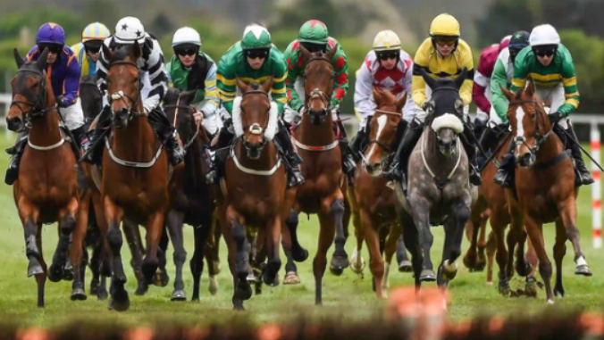 Carl Trader – Carl’s In-Play Trading Course