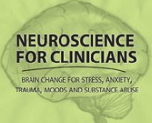 Charles A Simpkins – Neuroscience for Clinicians – BCFSATMASA