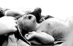 Jamie Otremba – Labor Delivery. The Latest Interventions for Childbirth Challenges