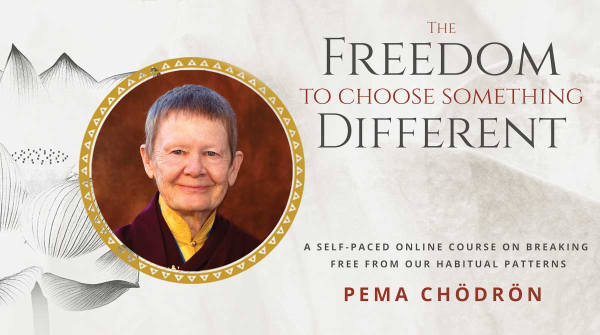 Pema Chödrön – Udemy – The Freedom to Choose Something Different