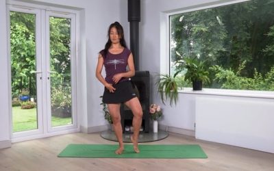 Mimi Kuo-Deemer – Qigong Balance Series