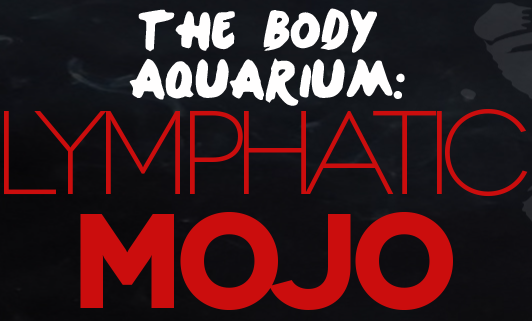 Perry Nickelston – Lymphatic Mojo Webcast