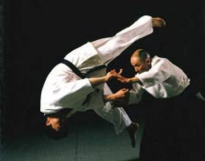 Aikido Yoshinkan The Complete Set of Techniques ShareActions