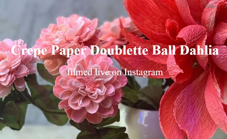 Amity Katharine Libby Crepe Paper Doublette Ball Dahlia