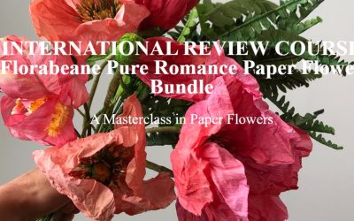 Amity Katharine Libby – TERNATIONAL REVIEW COURSE Florabeane Pure Romance Paper Flower Bundle