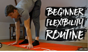 Bodyweight Warrior- Flexibility training Program