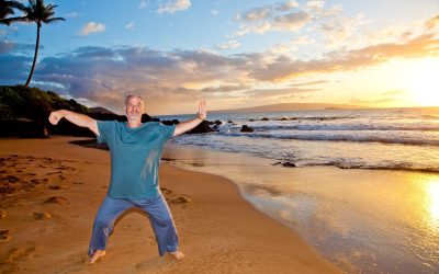 Bruce Frantzis – Energy Arts – Tai Chi for Beginners & Tai Chi for Circling Hands Programs