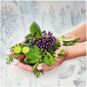 David Crow - Botanical Antivirals - Herbal Remedies & Clinical-Level Formulas for Protection Viral Conditions