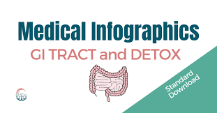 Dr. Lara Salyer GI TRACT and DETOX Medical Infographics Premium
