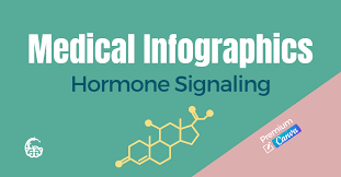 Dr. Lara Salyer Hormone Signaling Medical Infographics Premium