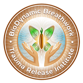 Giten Tonkov BioDynamic Breathwork & Trauma Release Session
