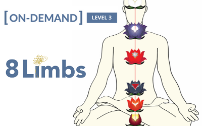 Gregor Maehle Meditation Level 3 Course