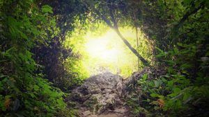 Karen Johnson & A H Almaas - Diamond Approach Exclusive Collection