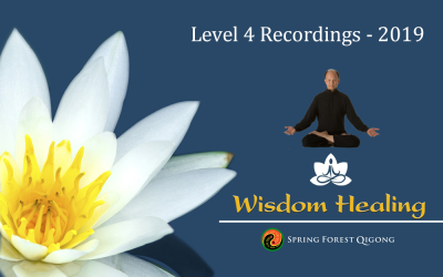 Master Chunyi Lin – Wisdom Healing – Higher Vibration Qigong Meditation Retreat (Level 4)