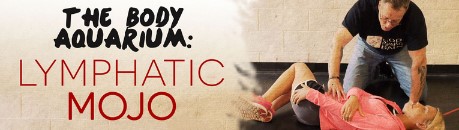 Perry Nickelston Lymphatic Mojo Webcast