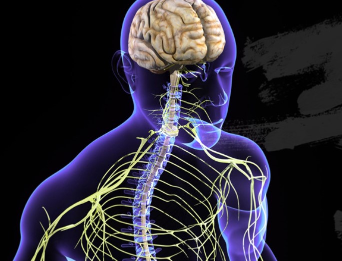 Perry Nickelston Vagus Nerve Mojo Webcast