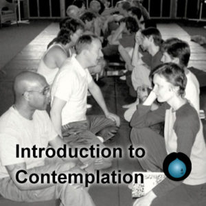 Peter-Ralston-Introduction-to-Consciousness
