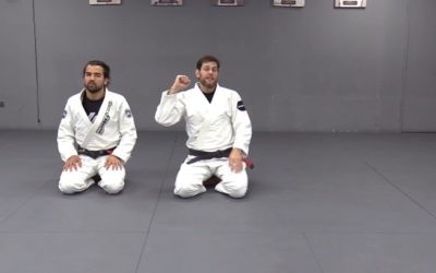 Roger Gracie – Roger Gracie Mount System