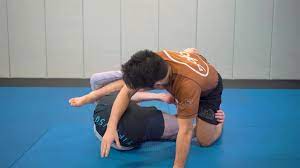 Ryan Hall – Dragging The Fight Down For MMA & Grappling