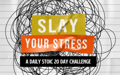 Ryan Holiday – Daily Stoic – Slay Your Stress: A Daily Stoic 20 Day Challenge (2022)