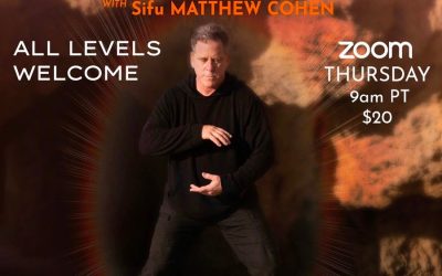 Sifu Matthew Cohen – Sacred Energy Arts Qigong – Module 1 – 7