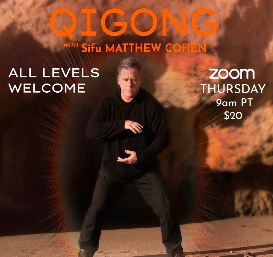 Sifu-Matthew-Cohen-Sacred-Energy-Arts-Qigong-Module-1-7