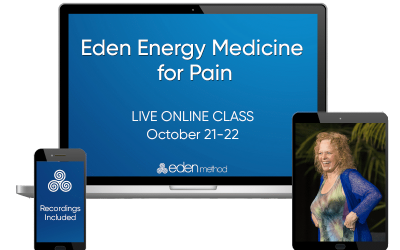 Donna Eden – Eden Energy Medicine for Pain