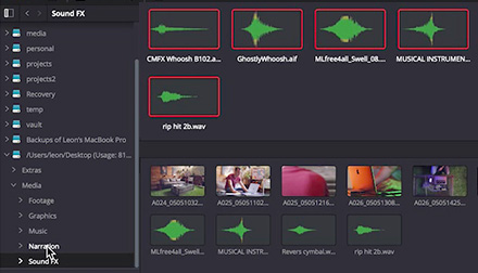 Lesson 3: Downloading Your Footage, Audio & Exercise Files