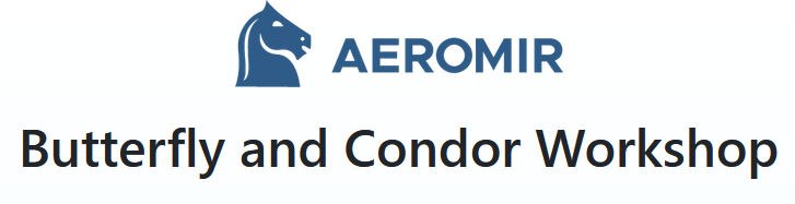 Aeromir – Butterfly and Condor Workshop