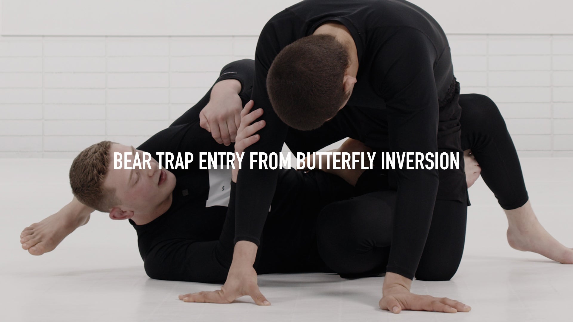 Bear Trap Entry from Butterfly Inversion
