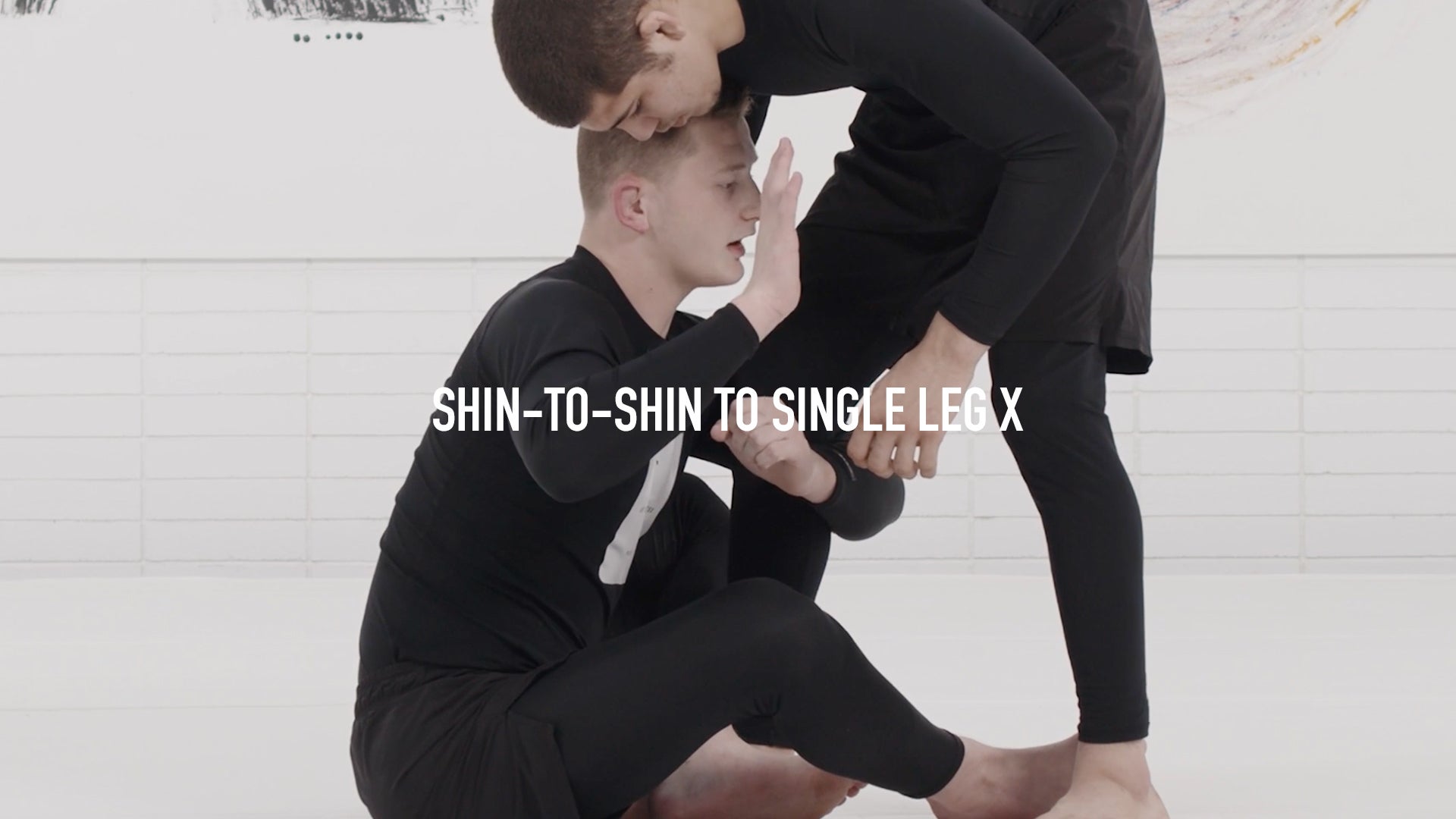 Shin-to-Shin to Single Leg X