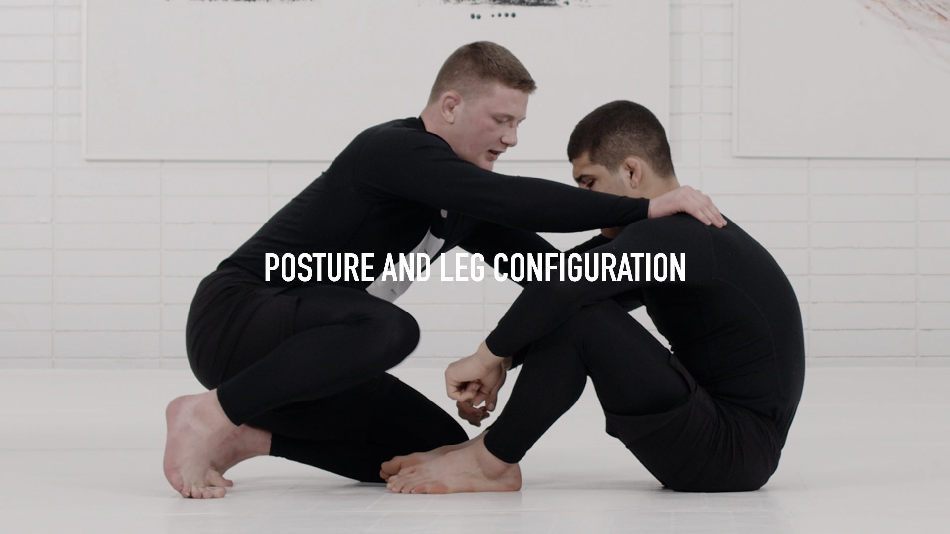 Posture and Leg Configuration