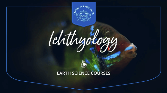 Centre of Excellence – Ichthyology Diploma Course