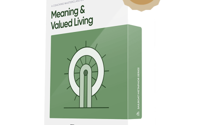 Hugo Alberts & Seph Fontane Pennock – Meaning & Valued Living Coaching Masterclass