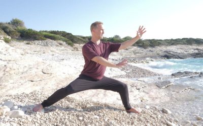 Lee Holden – Qi Gong for Summer Workshop