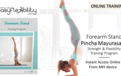 Paul Zaichik – Easy Flexibility – Forearm Stand