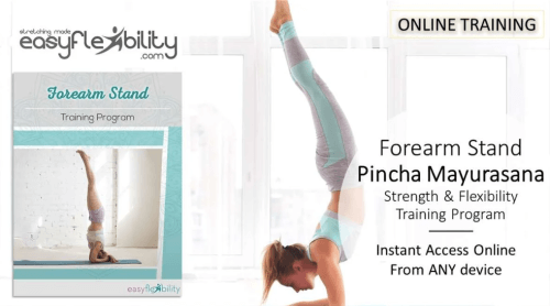 Paul Zaichik – Easy Flexibility – Forearm Stand
