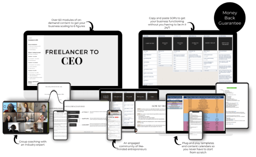 Suzy Crawford – Freelancer To CEO