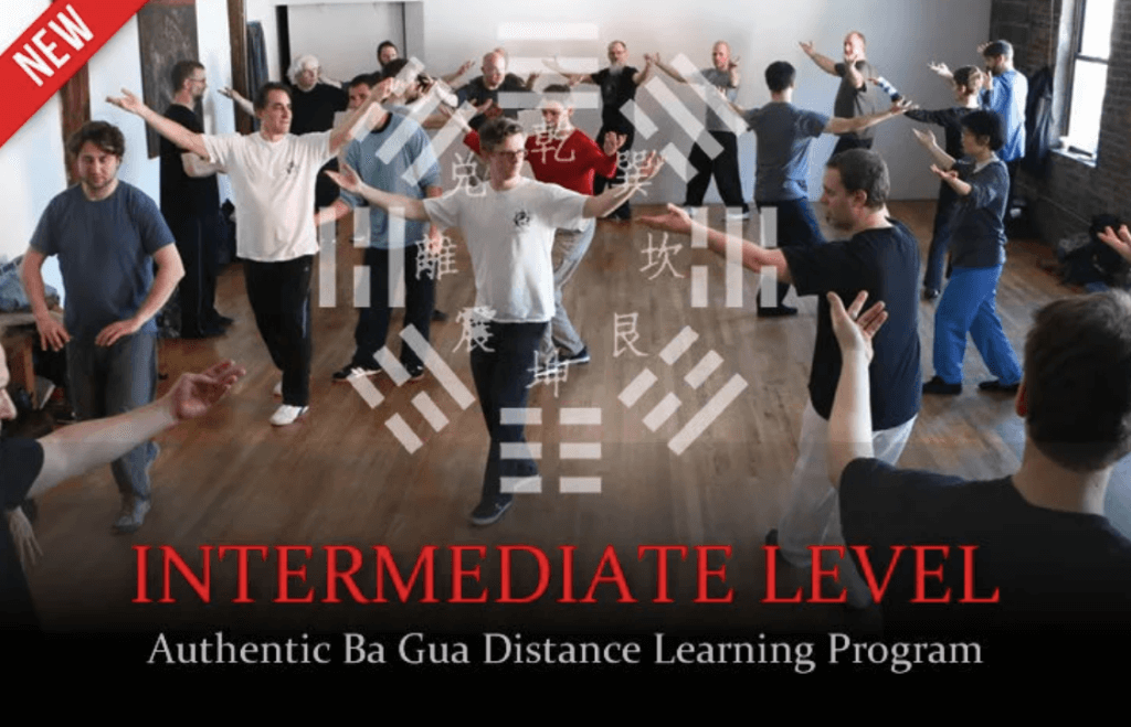 Tom Bisio - Intermediate Level of the Authentic Ba Gua Zhang ...