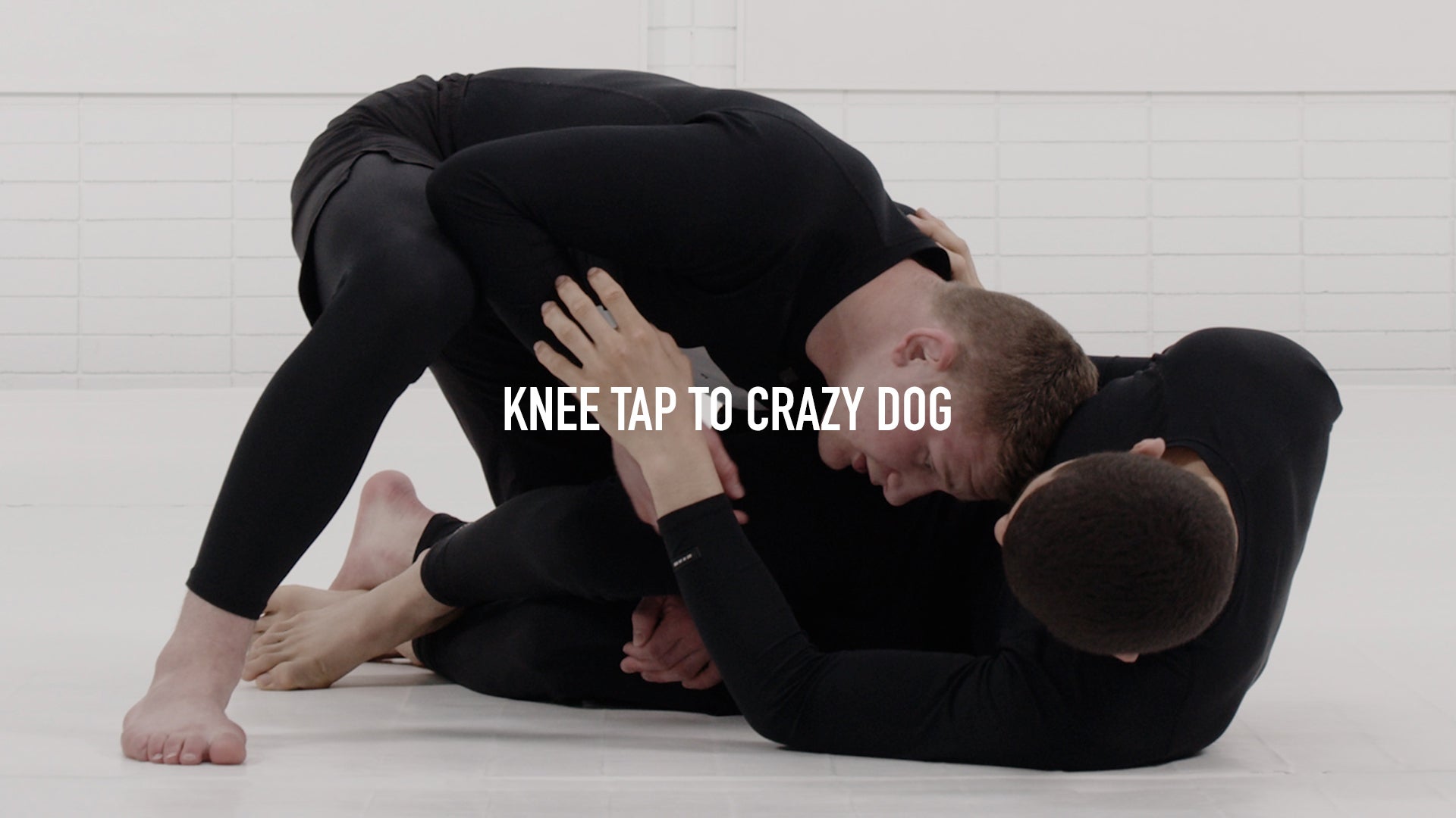 Knee Tap to Crazy Dog