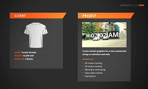 Lesson 4: Project Brief - Commercial & Promo Graphics