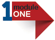 Module 1