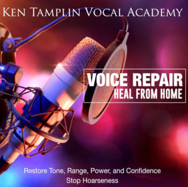 Voice Repair Hero