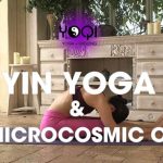 Marisa Cranfill – Yoqi – Yin Yoga & The Microcosmic Orbit