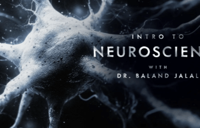 Peterson Academy – Baland Jalal – Intro to Neuroscience