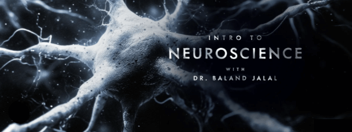 Peterson Academy – Baland Jalal – Intro to Neuroscience (1)